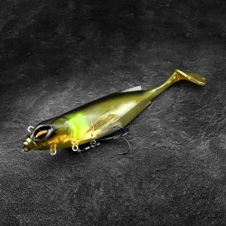 Soft lure: choosing the best ones for fishing