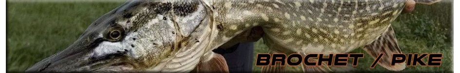 Meilleur leurre Brochet : choisir les meilleurs pour pêcher le brochet