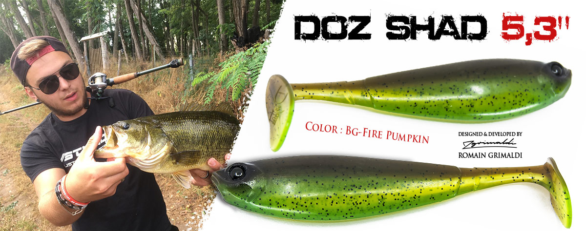 Soft lure DOZ SHAD 5.3'' vertical fishing zander linear pike
