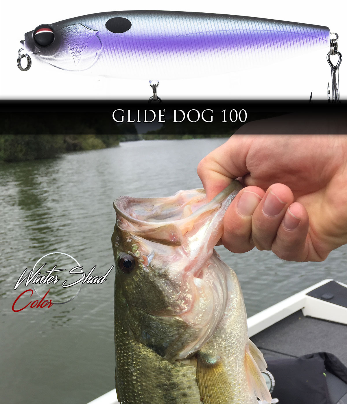 Floating surface lure GLIDE DOG 100 WINTER SHAD stickbait pike